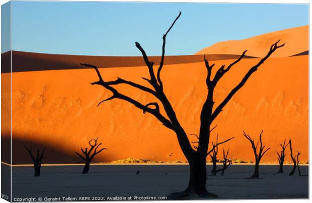 Dead Vlei, Sossusvlei, Namibia, Africa Canvas Print by Geraint Tellem ARPS