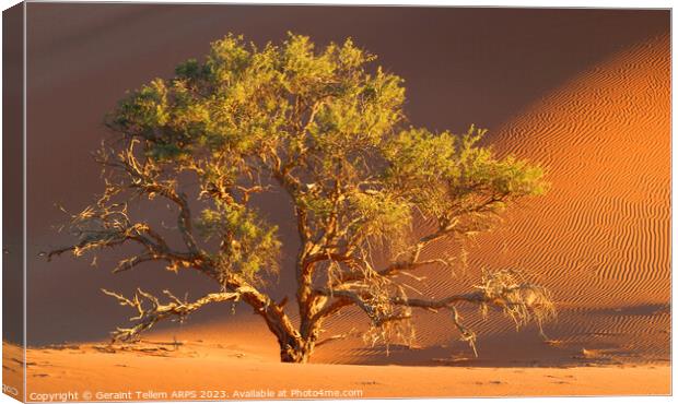 Tree, Dead Vlei, Sossusvlei, Namibia, Africa Canvas Print by Geraint Tellem ARPS