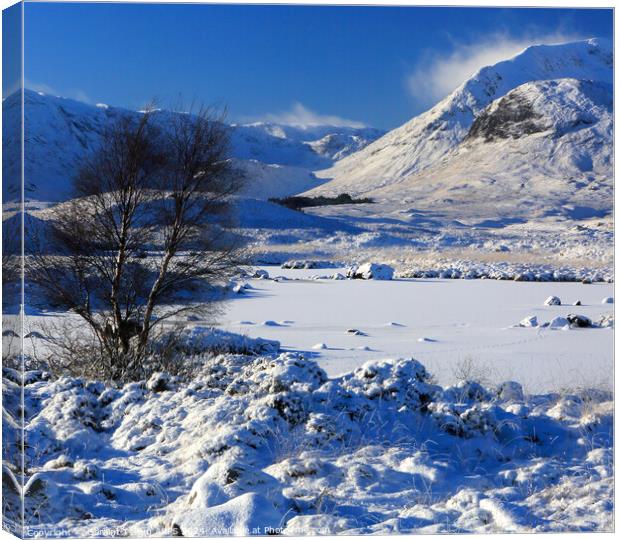 Rannoch Moor in winter snow, Highland, Scotland, UK Canvas Print by Geraint Tellem ARPS