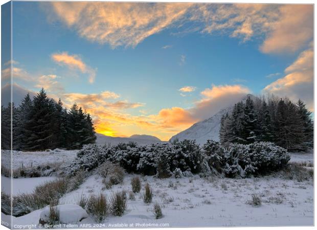 Buachaille Etive Mor in winter, Rannoch Moor, Highlands Scotland Canvas Print by Geraint Tellem ARPS