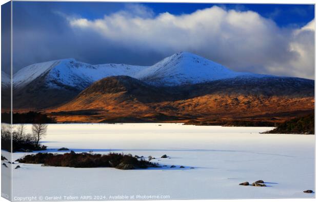 Rannoch Moor, Highland, Scotland in winter Canvas Print by Geraint Tellem ARPS