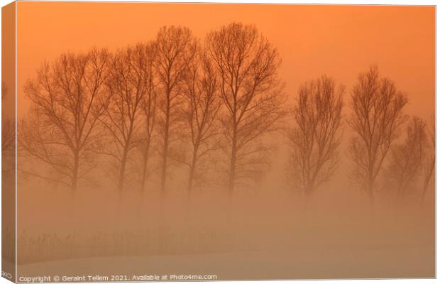 Trees in freezing mist, The fens, Norfolk, England, UK Canvas Print by Geraint Tellem ARPS