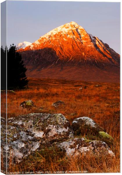 Buachaille Etive Mor, Rannoch Moor, Scotland, UK Canvas Print by Geraint Tellem ARPS