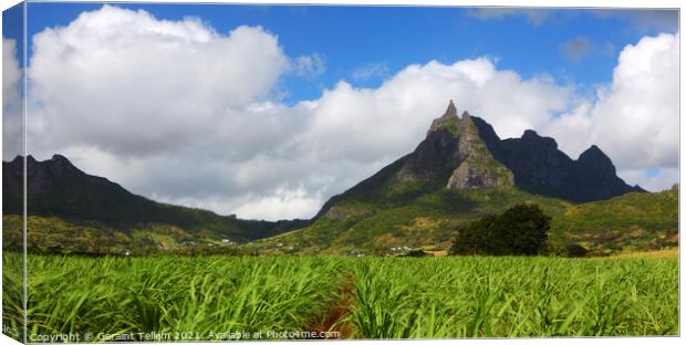 Mt. Pieter Both and sugar cane fields, Mauritius Canvas Print by Geraint Tellem ARPS