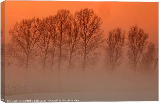 Trees in freezing mist, Norfolk, UK Canvas Print by Geraint Tellem ARPS