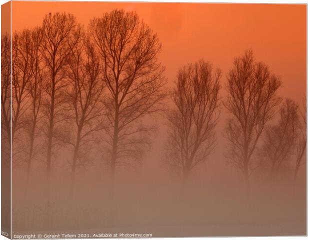 Trees in freezing mist, Norfolk, UK, Canvas Print by Geraint Tellem ARPS