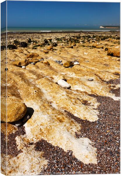 Intertidal zone near Birling Gap, Seven Sisters Country Park, East Sussex, England, UK Canvas Print by Geraint Tellem ARPS
