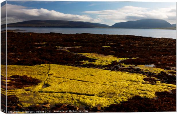 The coast of Hoy from Petertown, near Stromness, Mainland, Orkney, UK Canvas Print by Geraint Tellem ARPS