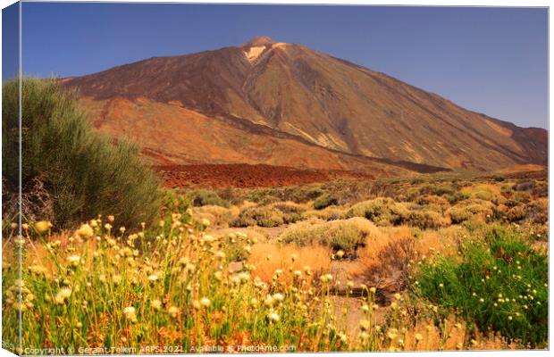 Mt. Teide, Tenerife, Canary Islands Canvas Print by Geraint Tellem ARPS