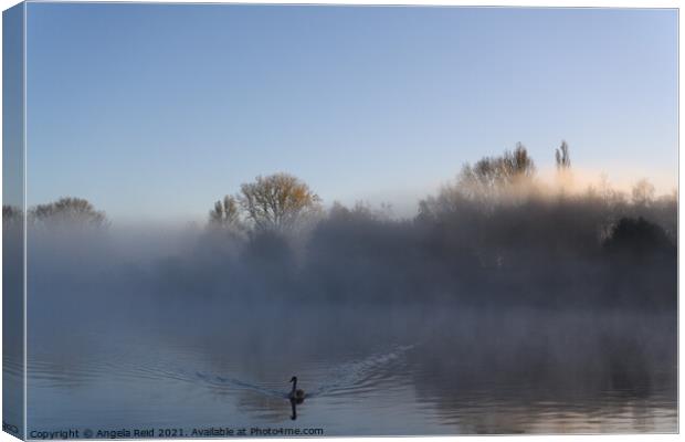 Misty Waters Canvas Print by Reidy's Photos