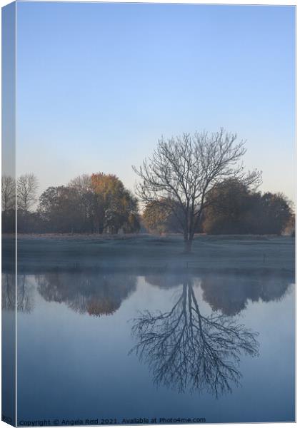 Misty Reflections Canvas Print by Reidy's Photos