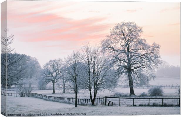 Sunset Snow Canvas Print by Reidy's Photos