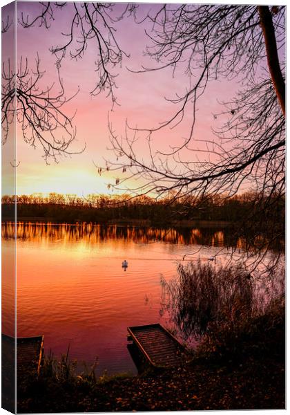Jetty Sunrise at Coate Water Swindon Canvas Print by Reidy's Photos