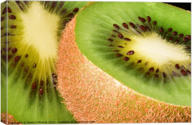 A close up of kiwi fruit Canvas Print by Reidy's Photos