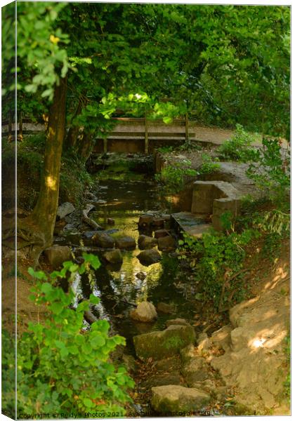 River at Stanton Country PArk Canvas Print by Reidy's Photos