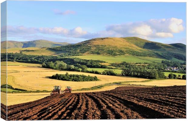 Ploughing in tandem Mindrum Cheviot Hills. Canvas Print by mick vardy