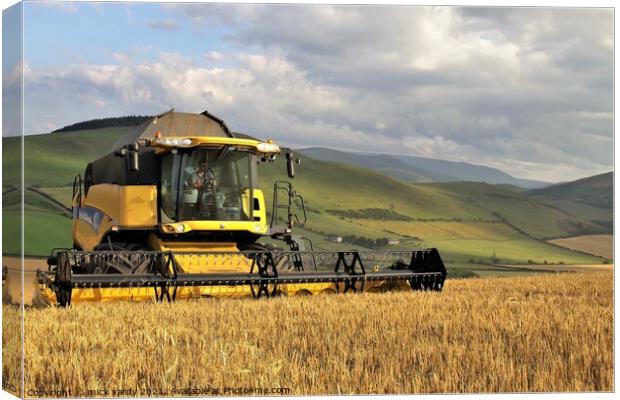Harvesting barley in the Cheviot Hills. Canvas Print by mick vardy
