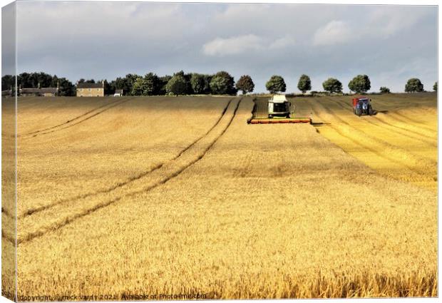 Harvesting barley in Northumberland. Canvas Print by mick vardy