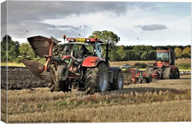 Ploughing in tandem Northumberland.  Canvas Print by mick vardy