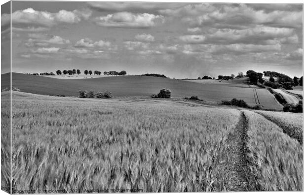  The humpy field. Canvas Print by mick vardy