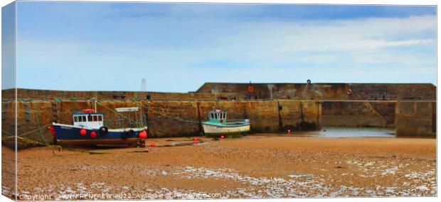 Cullen harbour at low tide Canvas Print by ANN RENFREW