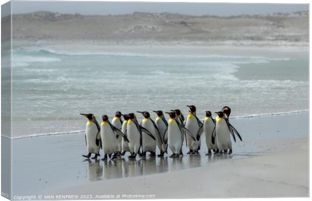 The March of the Penguins Canvas Print by ANN RENFREW