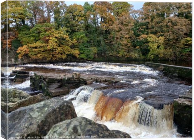 River Swale in Yorkshire Canvas Print by ANN RENFREW