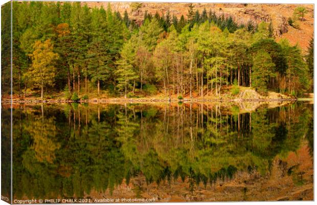 Blea tarn tree reflections in the lake district Cumbria 502  Canvas Print by PHILIP CHALK