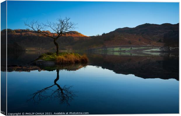 Rydal water lone tree reflection in the lake distr Canvas Print by PHILIP CHALK
