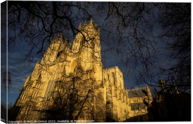 York Minster in the sunset 678 Canvas Print by PHILIP CHALK