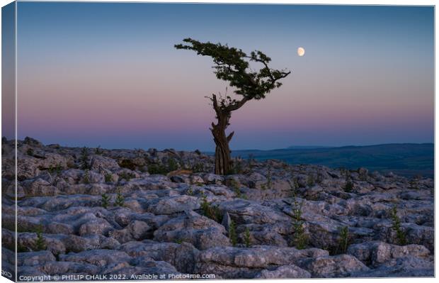 Moon over Twisleton scar 751  Canvas Print by PHILIP CHALK