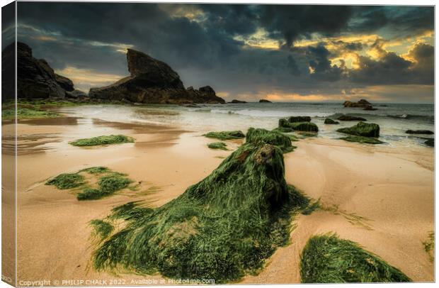 Cornish beach sunset 792 Canvas Print by PHILIP CHALK