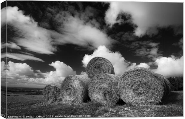Hay bales landscape in black and white. 798 Canvas Print by PHILIP CHALK