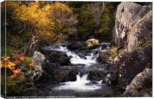 Waterfalls on Torver beck in the lake district near Coniston. 838  Canvas Print by PHILIP CHALK