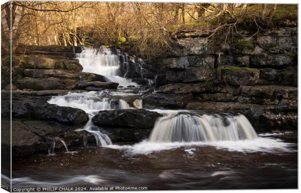 East gill force waterfall 1024 Canvas Print by PHILIP CHALK