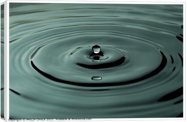 One moment in time of a water droplet 45 Canvas Print by PHILIP CHALK