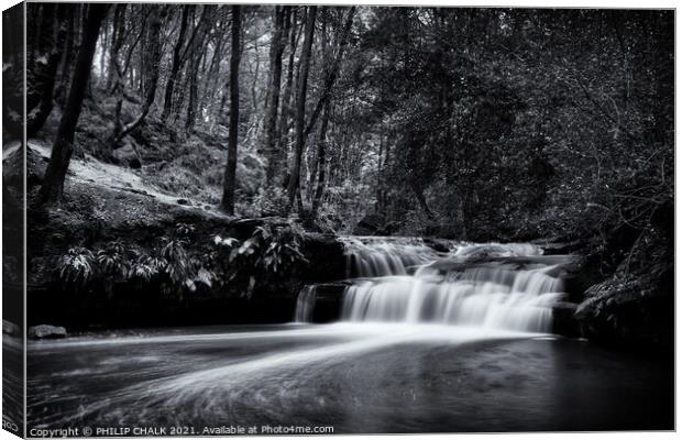 Goit Stock waterfall in a forest  Canvas Print by PHILIP CHALK