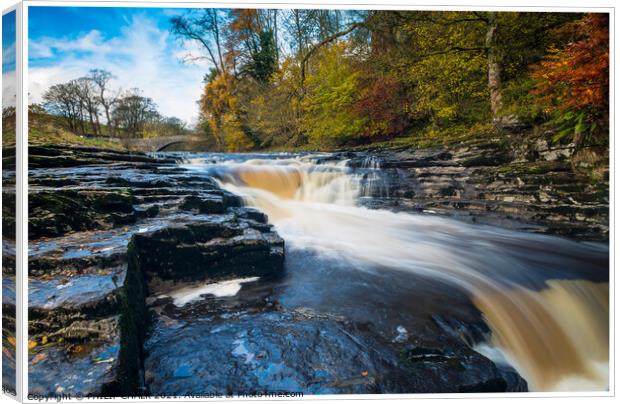 Stainforth foss  198 Canvas Print by PHILIP CHALK