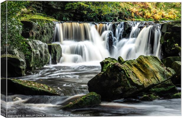 Nelly Ayre foss near Goathland in the yorkshire moors 199 Canvas Print by PHILIP CHALK