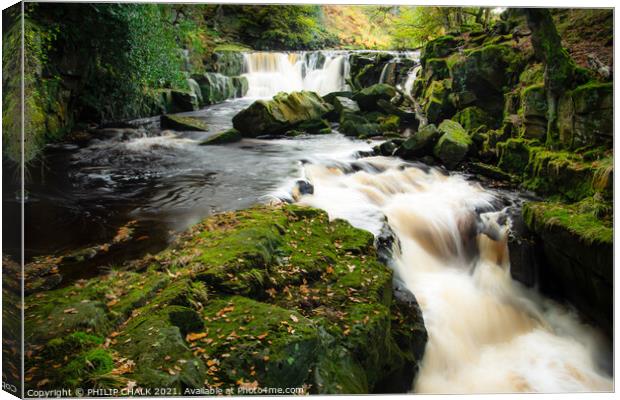Nelly Ayre foss waterfalls  near Goathland in the yorkshire moors 200 Canvas Print by PHILIP CHALK