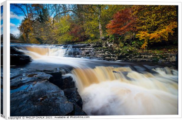 Stainforth foss  waterfall near Settle in the Yorkshire dales 284  Canvas Print by PHILIP CHALK