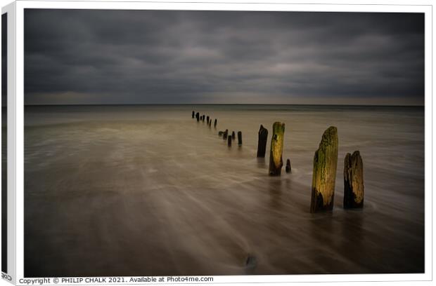 sandsend Groin's near Whitby 307 Canvas Print by PHILIP CHALK