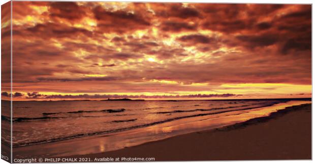 Farne Islands with dramatic sunrise 334  Canvas Print by PHILIP CHALK