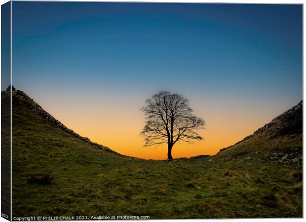 Sycamore gap sunset 372  Canvas Print by PHILIP CHALK