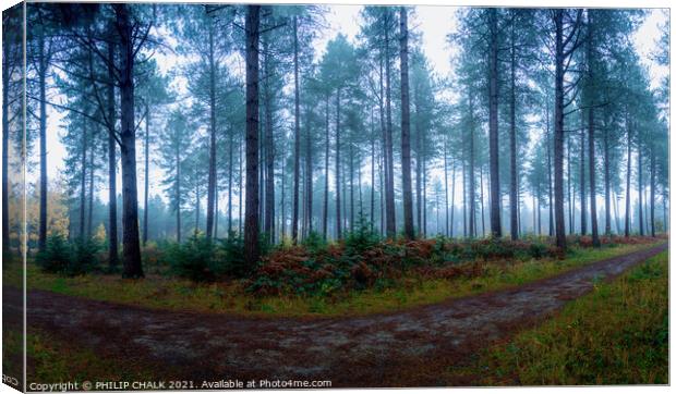 Misty woodland 374  Canvas Print by PHILIP CHALK
