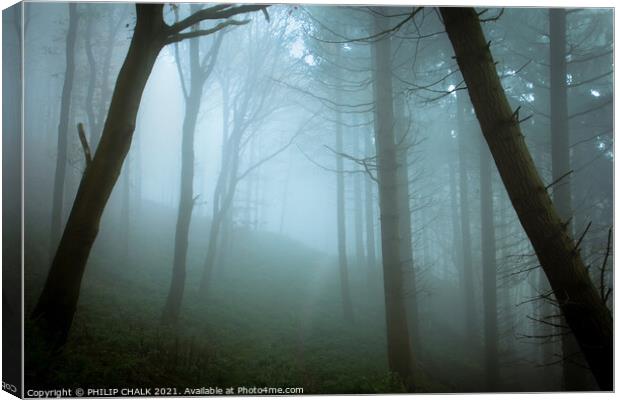 Misty woodland scene 375  Canvas Print by PHILIP CHALK