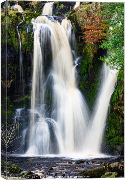 Posforth waterfall in the magical  Yorkshire dales 451  Canvas Print by PHILIP CHALK