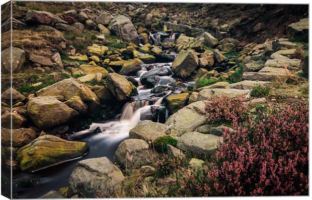 Water, Rocks and Heather Canvas Print by Jeni Harney