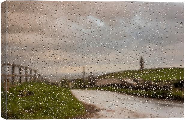 Through the Rain Canvas Print by Jeni Harney