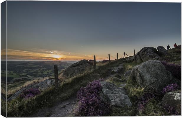Heather in Bloom at Millstone Edge Canvas Print by Jeni Harney